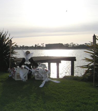 File:Doves released.jpg